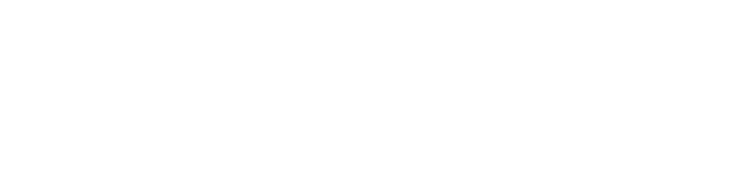 pro-max